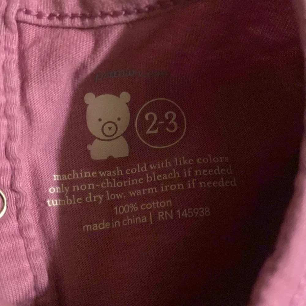 Primary purple dress size 2-3
